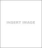 insert image